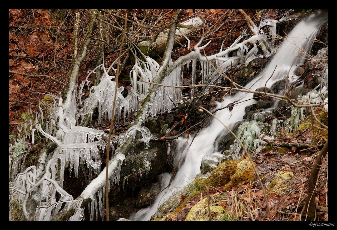 20091227_157_DxO_raw